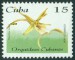 KUBA. správně má být  Polyrrhiza lindenii. chybí písmeno
