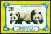 MONGOLSKO. chybný název. panda velká je správně Ailuropoda melanoleuca (20)