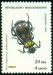 MADAGASKAR. hrobařík je správně Nicrophorus tomentosus