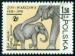 POLSKO. slon indický je správně Elephas maximus