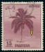 PÁKISTÁN. chybně kokosová palma pojmenovaná jako kakaová