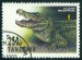 TANZÁNIE. chybně název. mělo být Alligator mississippiensis