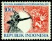INDONÉSIE. chybí tětiva na luku (2)