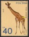 POLSKO. správně mělo být Giraffa camelopardalis. na známce chybí písmena