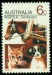 AUSTRÁLIE. kočka má vousky na každé straně jinak dlouhé